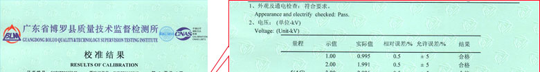 電磁儀器計量證書報告結果頁